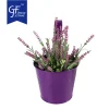10 Pack Metal Hanging Flower Pots Balcony Planter Detachable Hook Wholesale5