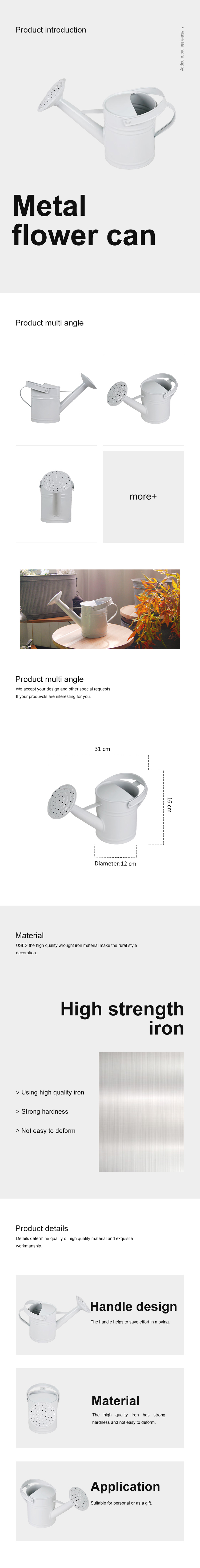 Watering Can for Outdoor Plants Galvanized Steel Watering Can with Stainless Steel Handle Metal Gardening Watering pot