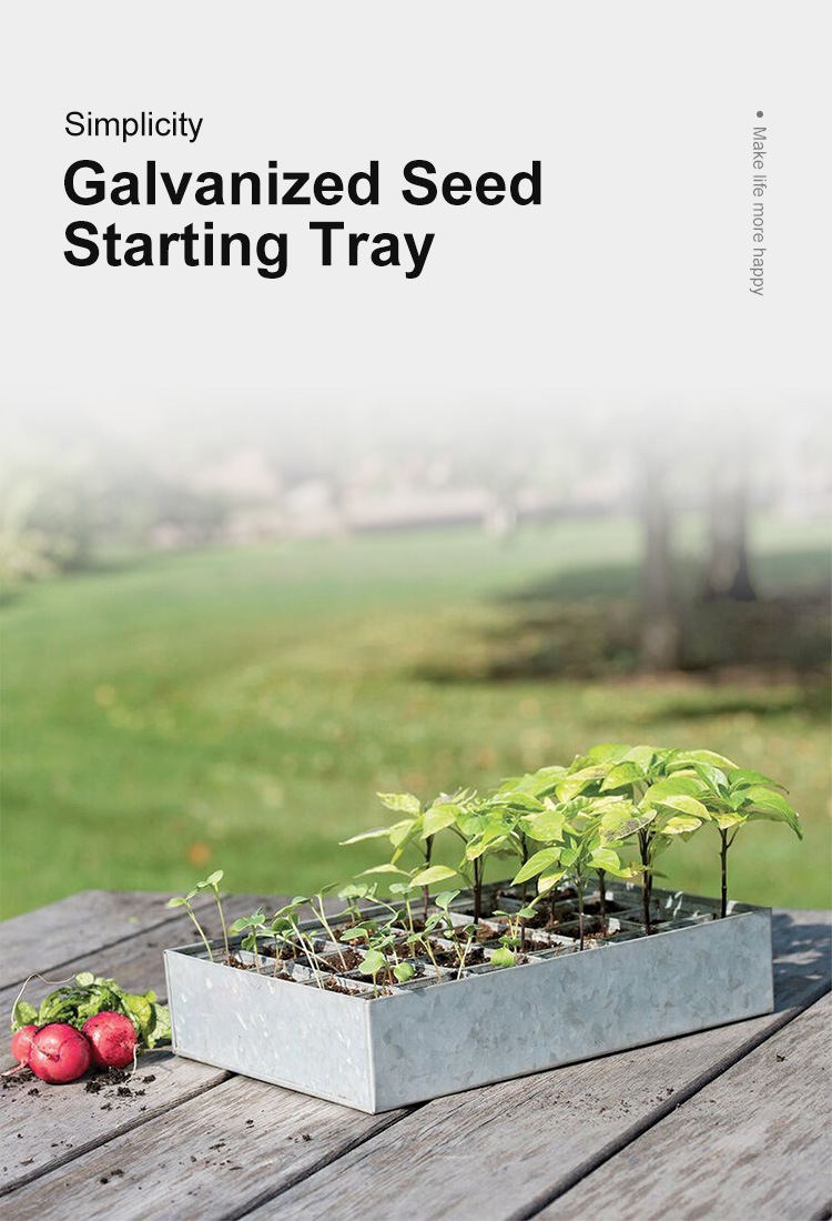 Galvanized Seed Starting Tray