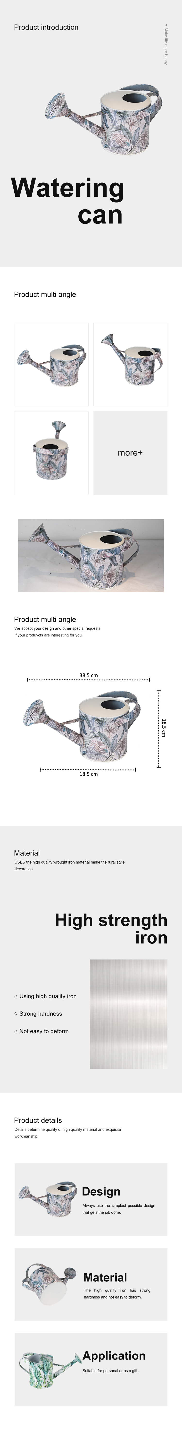 Metal Watering Can Galvanized Steel Watering Pot with Removable Spray Spout, Movable Upper Handle
